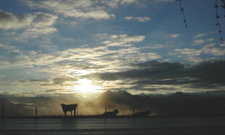 Hotel Marvia Hotel Marvia