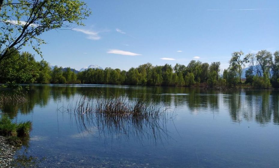 Business Apartments Business Apartments