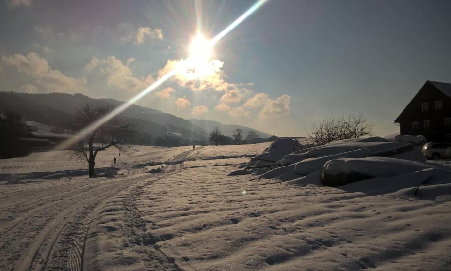 Appartement Angelika