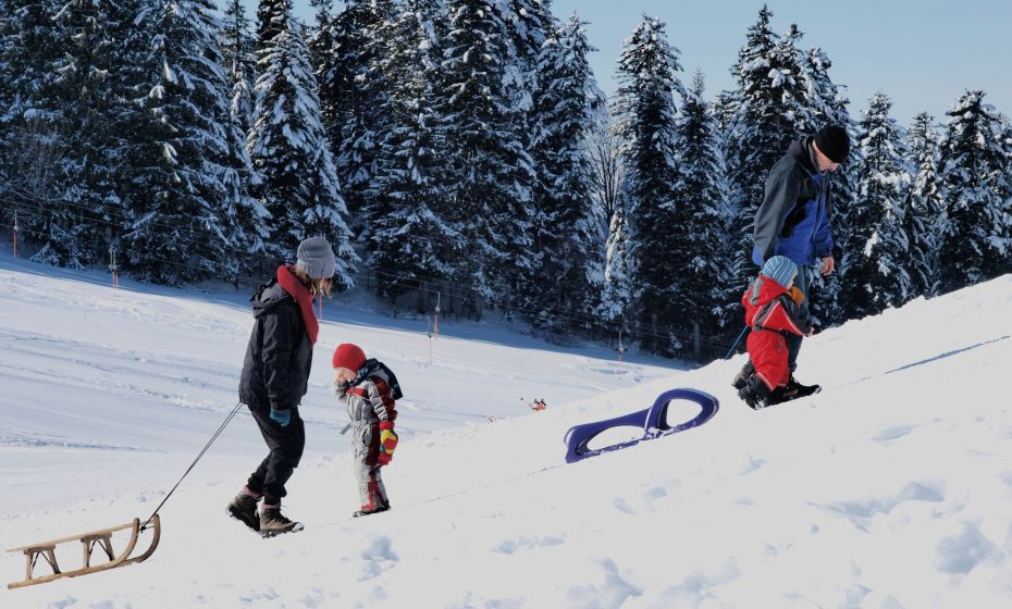 Rodeln am Pfänder Rodeln am Pfänder