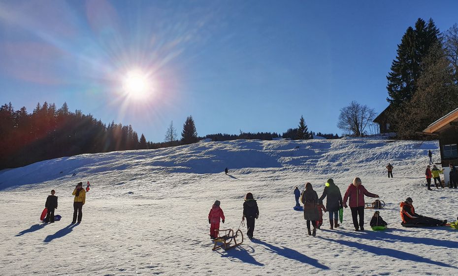 Bödele Rodeln Bödele Rodeln