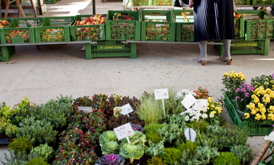 Wochenmarkt Bregenz