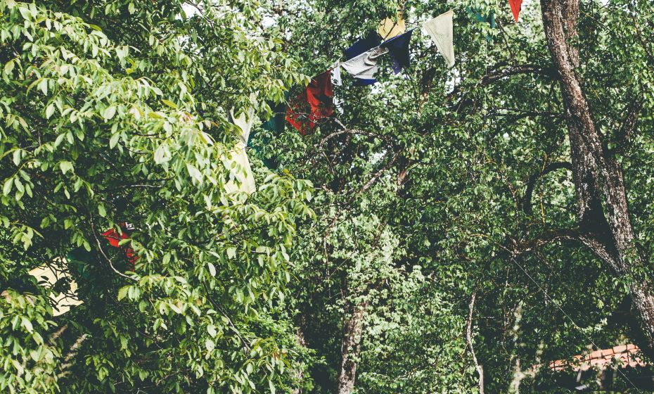 Feldkirch Frühling Feldkirch Frühling