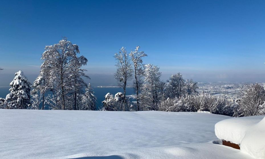 Seeblick Appartements Henle