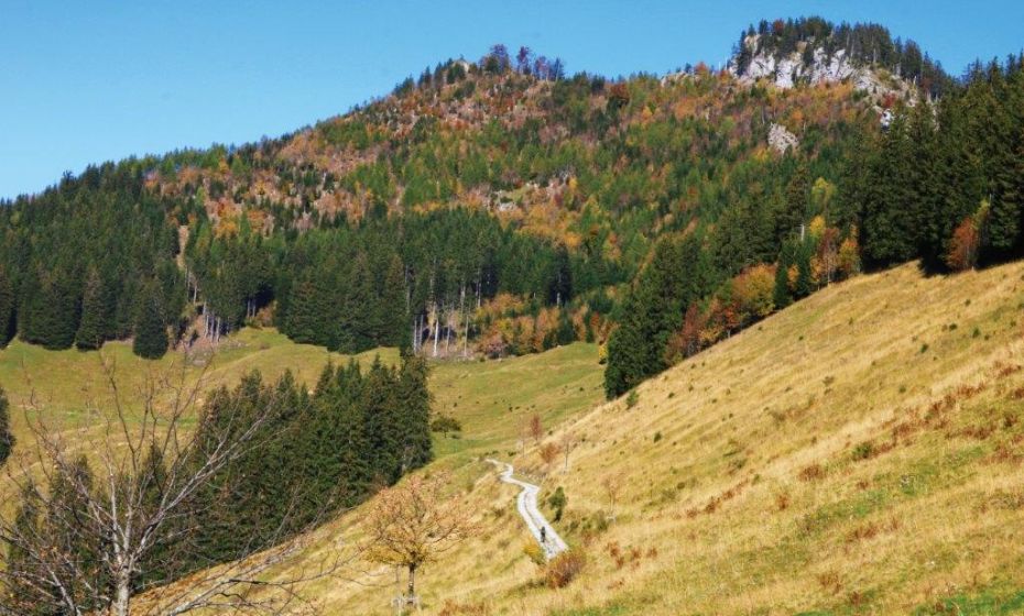 Dornbirn Tourismus & Stadtmarketing GmbH Karren - Staufenspitze