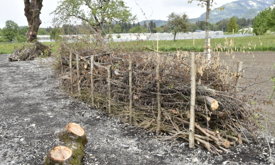 "Benjeshecke" Ruheplatz "Treiet"