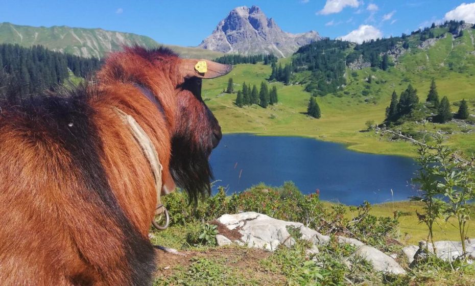 Ferienhaus HÃ¤mmerleÂ´s