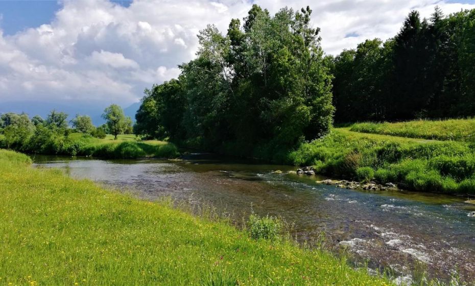 Ferienhaus Hämmerle´s Ferienhaus Hämmerle´s
