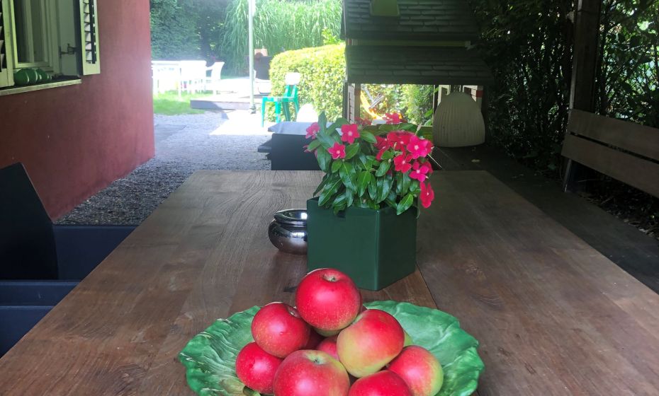 B&B Waltner, Dornbirn, Sitzplatz Pergola