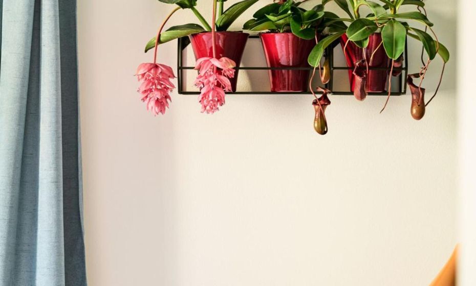 Rotes Haus Bregenz Pop-Up Wohnung