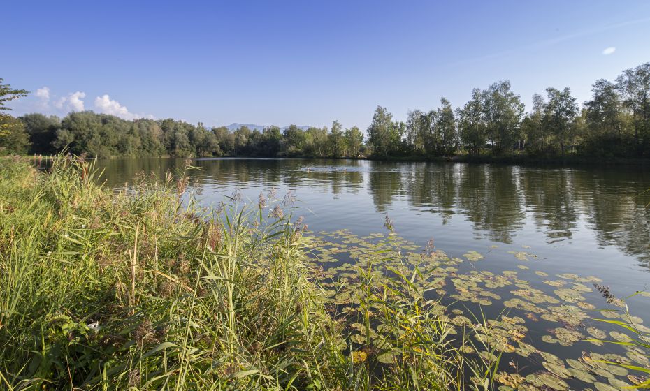 Alter Rhein Lustenau