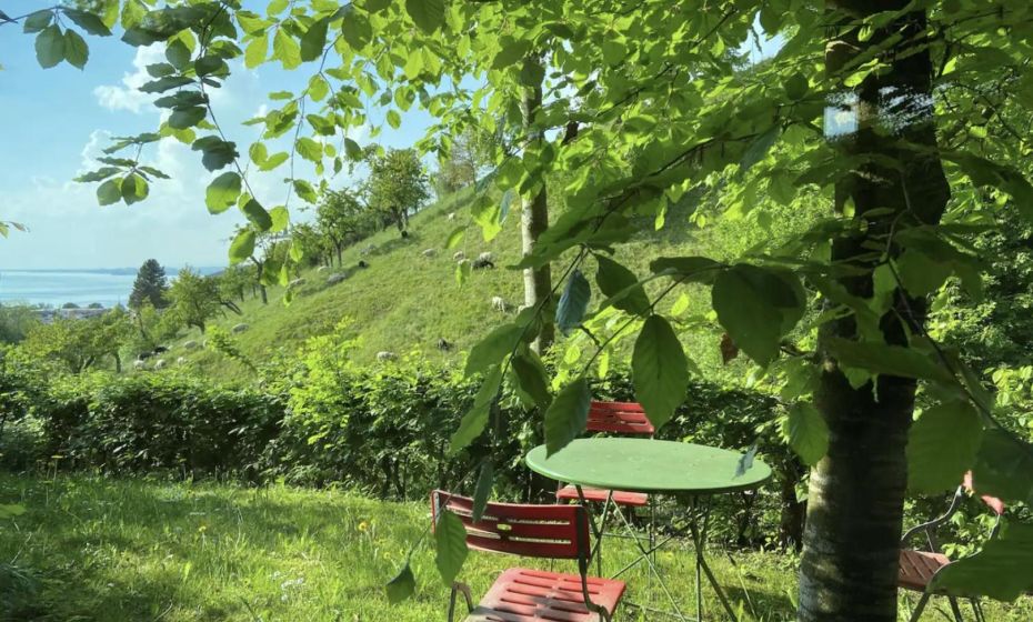 Haus am Felsen, Ferien in Vorarlberger Architektur