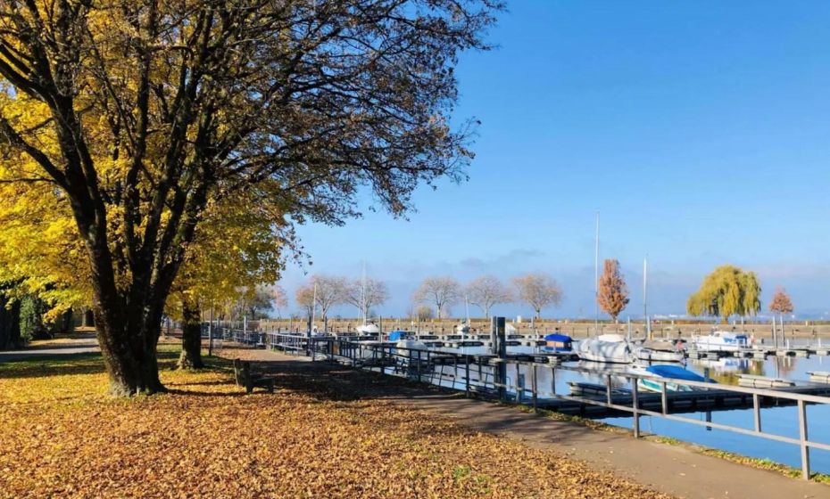 Ferienwohnung Bregenz 6 top 2