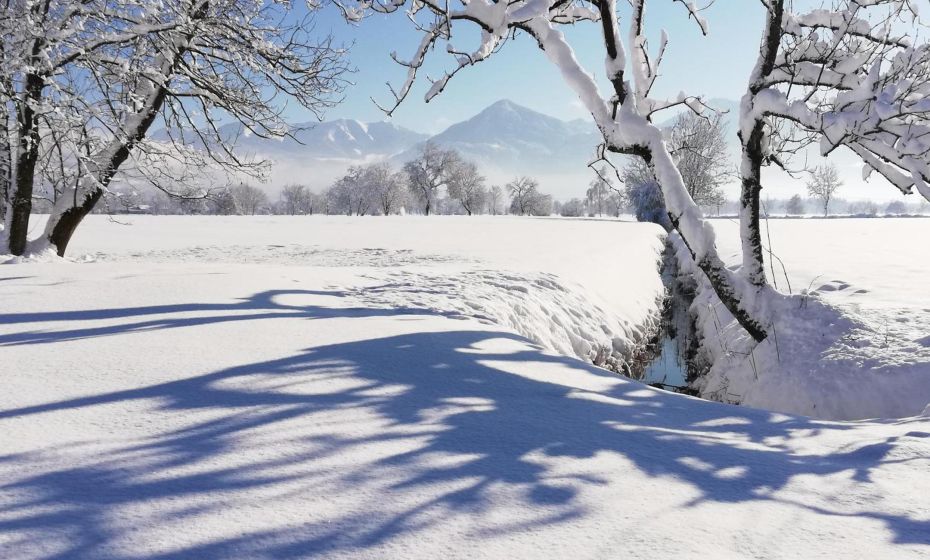 Ferienhaus Hämmerle´s Ferienhaus Hämmerle´s