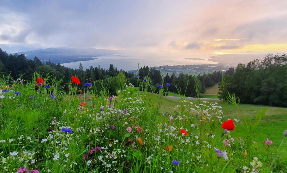 F E R I E N W O H N U N G "Am Halbenstein" F E R I E N W O H N U N G "Am Halbenstein"