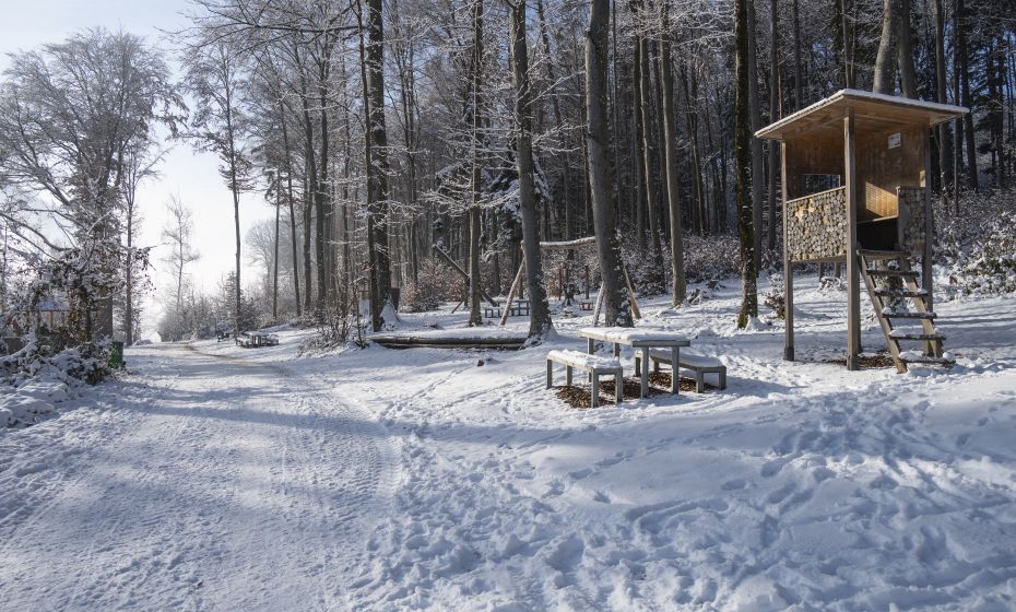 Wildpark Feldkirch Spielplatz