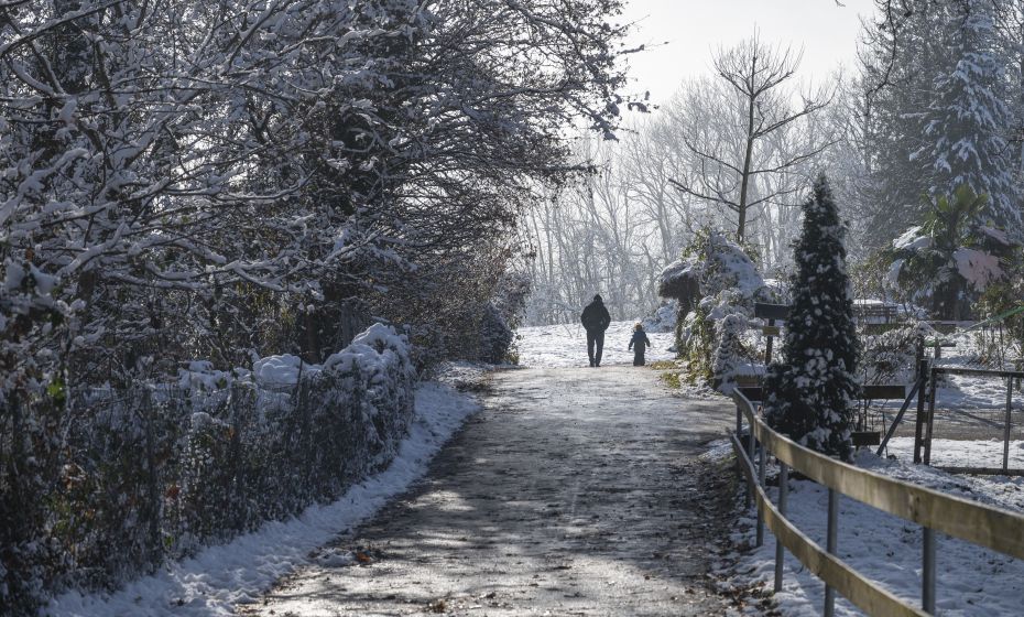 Wildpark Feldkirch Wildpark Feldkirch
