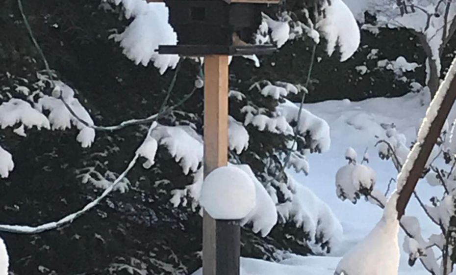 Hotel Restaurant Rössle Hotel Restaurant Rössle