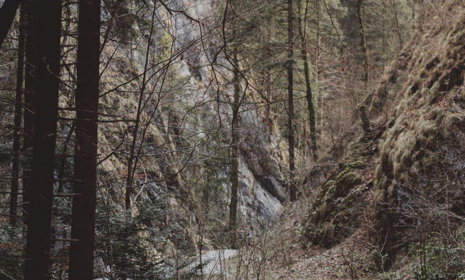 Naturpicknick Ãrflaschlucht