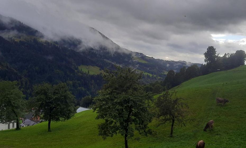 Sunnaschi Appartements - Wohnungen oder gesamt als "HÃ¼tte"