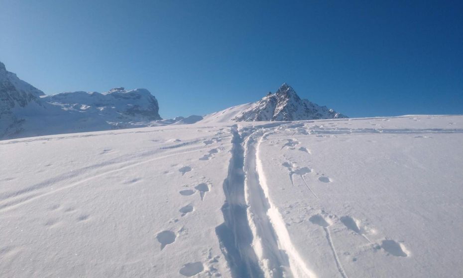 Ferienhaus Haus im Garten Ferienhaus Haus im Garten