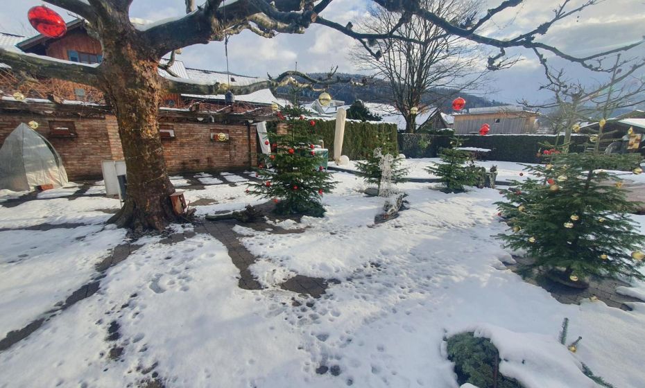 SchÃ¤fle Feldkirch-Altenstadt