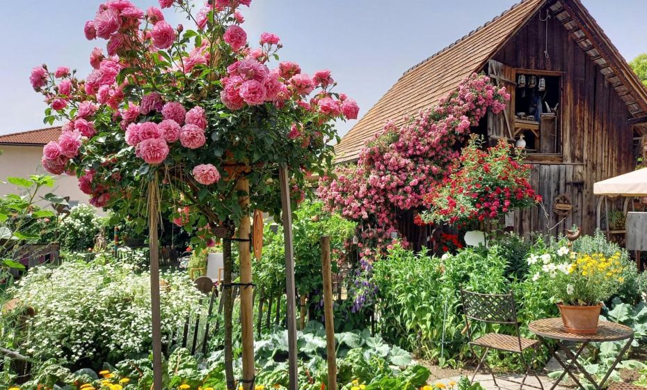 Hotel Restaurant Mohren