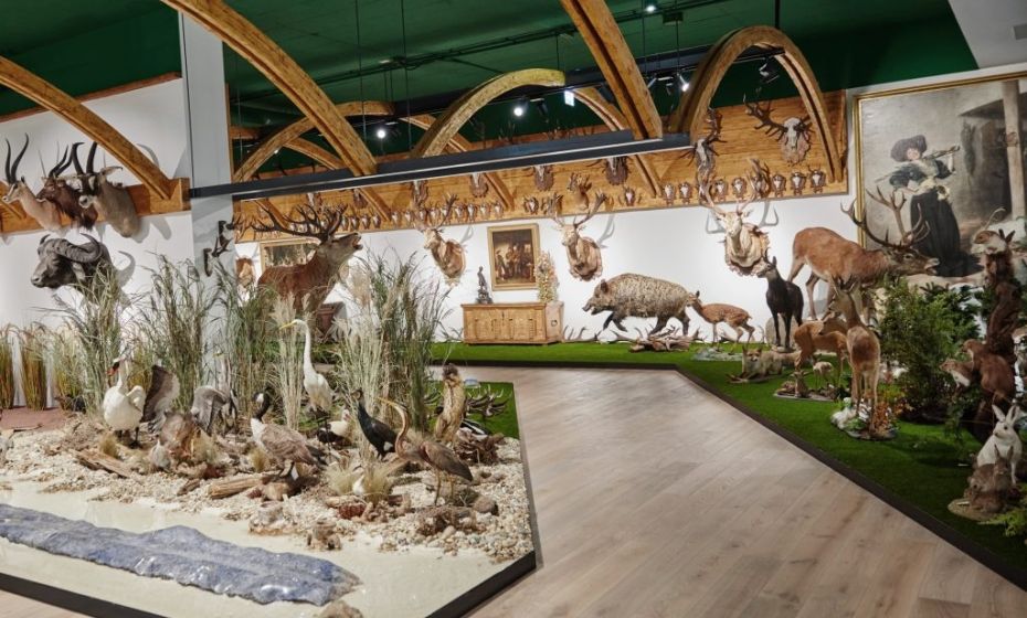 Arche Noah Museum - Arche-Noah-Museum Arche Noah Sammlung Natur