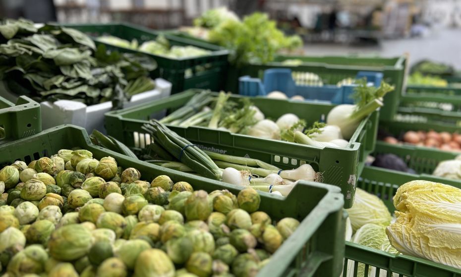 ximage00020.jpeg ximage00020.jpeg