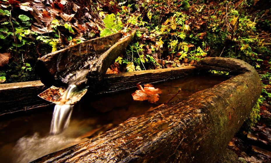 Brunnen Wildried Strecke