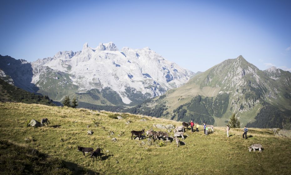 __NO_NAME__ __NO_NAME__