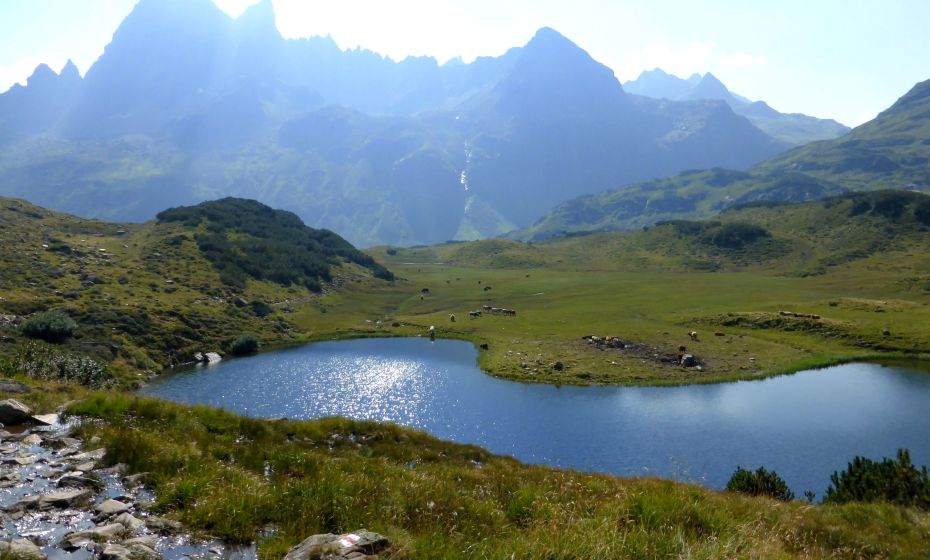 __NO_NAME__ __NO_NAME__