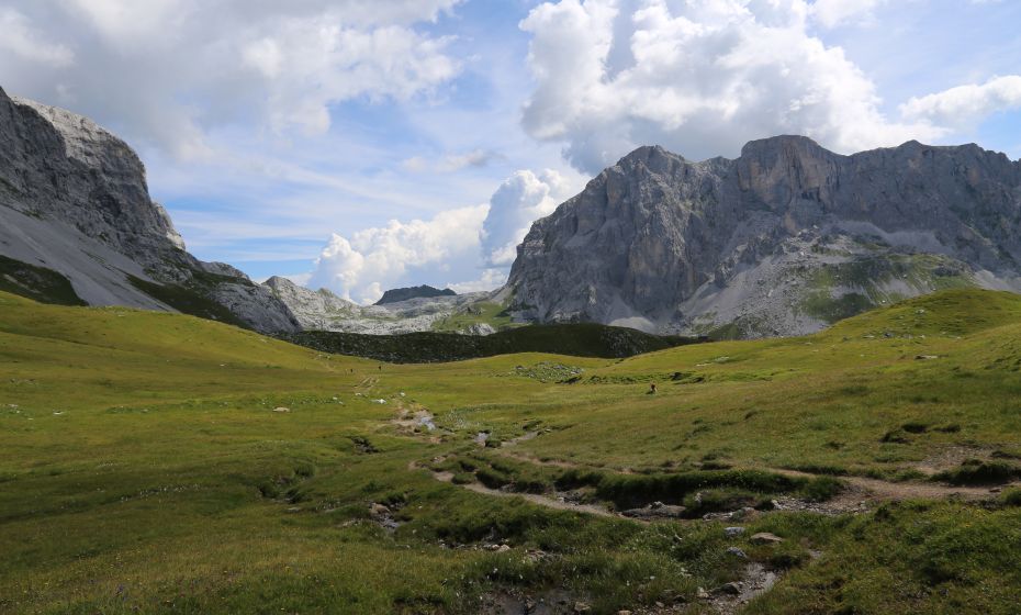 __NO_NAME__ __NO_NAME__