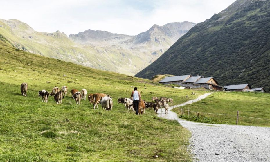 kurz vor der Vergaldaalpe kurz vor der Vergaldaalpe