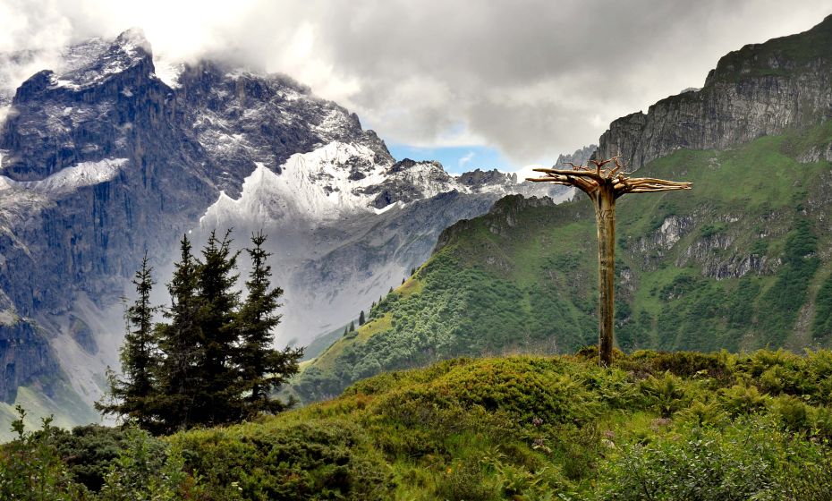 Christina Wachter - Ines Agostinelli & Roland Haas Der Mythenbaum