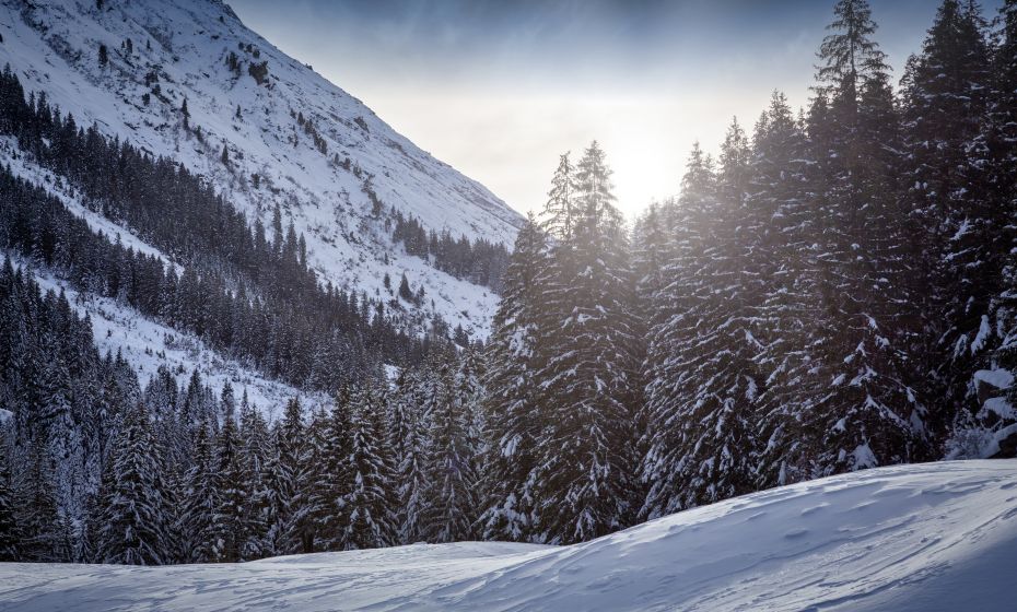 Winterlandschaft Partenen Winterlandschaft Partenen