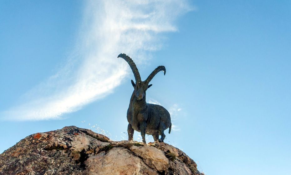 __NO_NAME__ __NO_NAME__