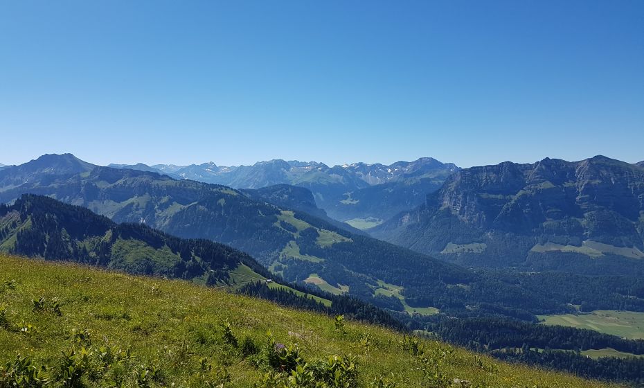 Panoramablick auf Baumgarten Panoramablick auf Baumgarten