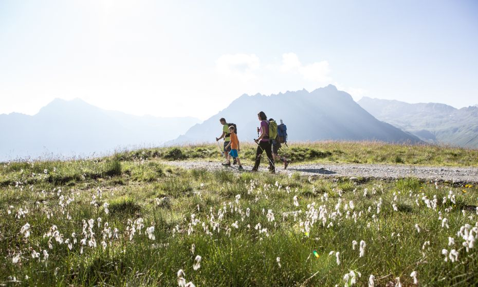 Retourweg Richtung Bergrestaurant Schafberg HÃ¼sli