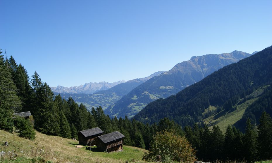 MaisäÃe auf Plazadels MaisäÃe auf Plazadels