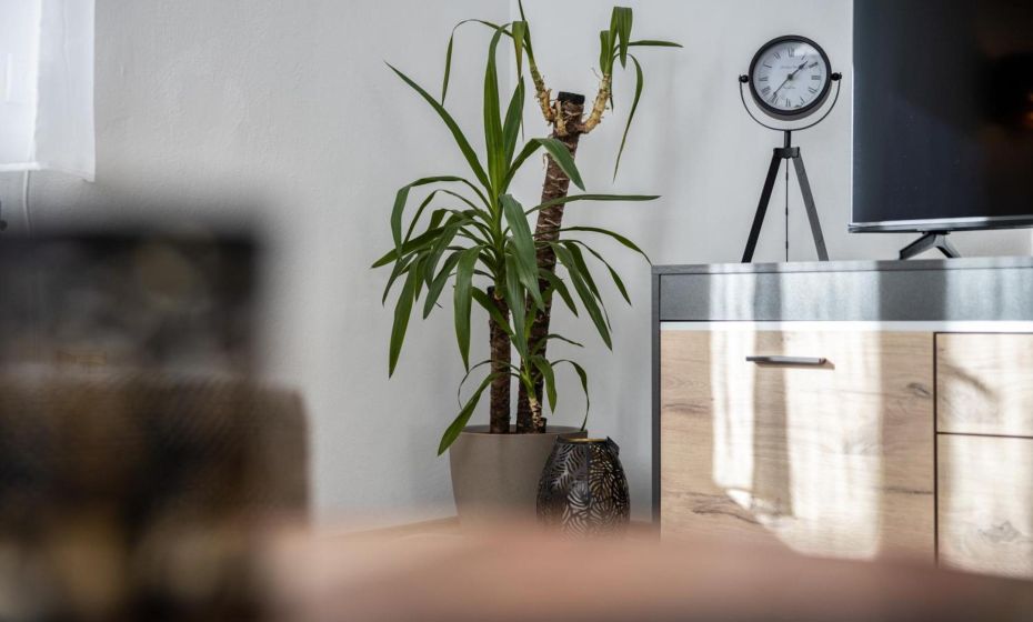 Seeperle Lochau - Der See ruft!