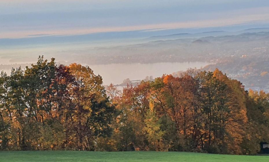 F E R I E N W O H N U N G "Am Halbenstein"