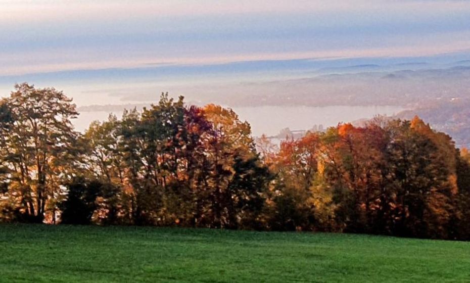 F E R I E N W O H N U N G "Am Halbenstein"