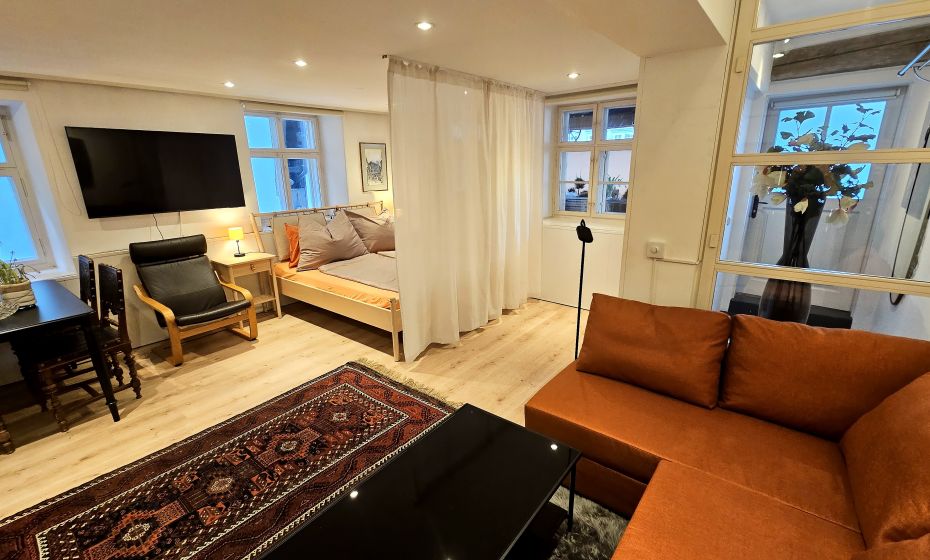 Apartment in der Alten Schmiede