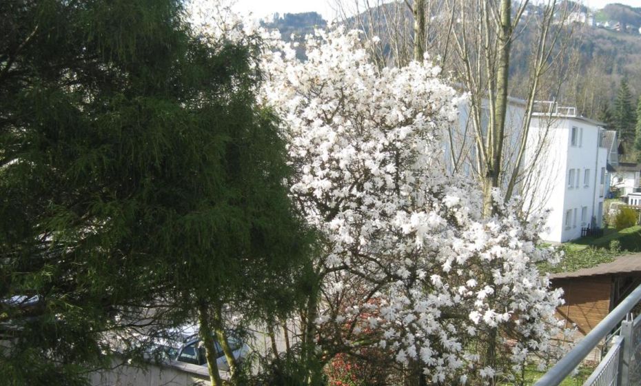 Ferien im Paradies - Wohnung Vera