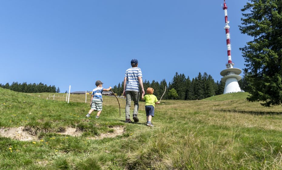 Weg zum DÃ¼nser Ãlpele