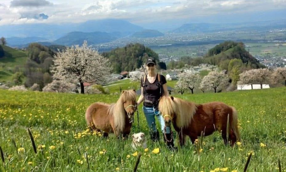 hufwärts ponytrekking 2.jpg hufwärts ponytrekking 2.jpg