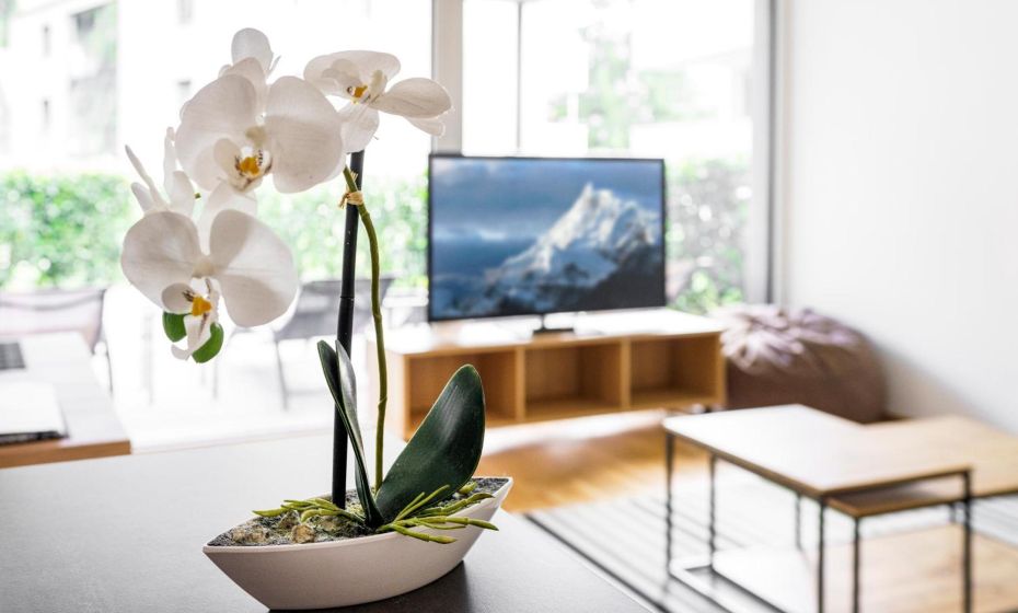 Relaxed Urban Living - Aparthotel und Boardinghouse