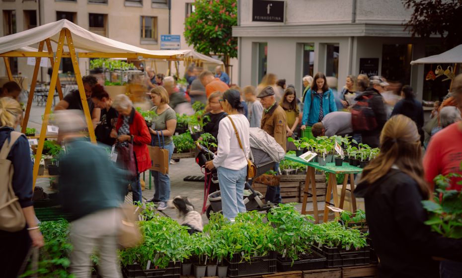 Bio-Jungpflanzenmarkt Bio-Jungpflanzenmarkt