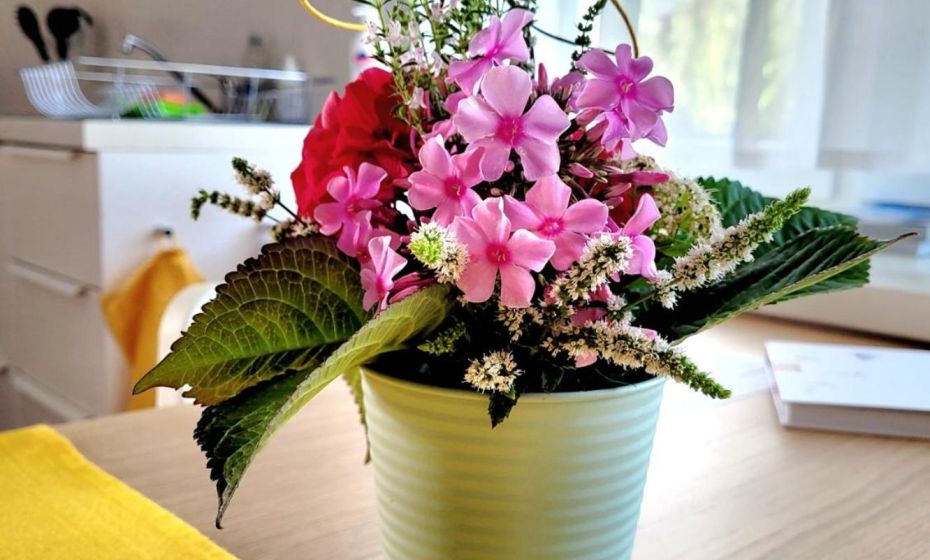 Apartment Sonnenschein